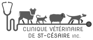 Clinique Vétérinaire St-Césaire